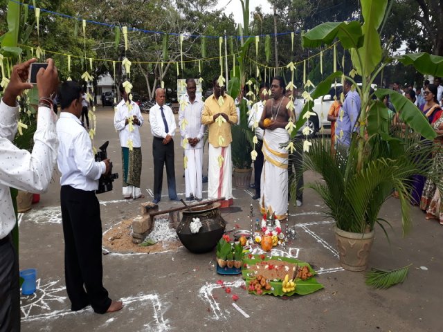 Thaipongal Festival_16.01.2019